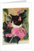 Kitten and hollyhocks by Anne Robinson