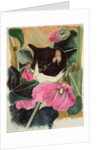 Kitten and hollyhocks by Anne Robinson