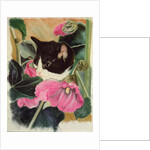 Kitten and hollyhocks by Anne Robinson