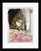 Stripy at the window by Anne Robinson