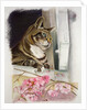 Stripy at the window by Anne Robinson