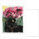 Black tulips by Anne Robinson