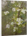 White Blossom by Henry Scott Tuke
