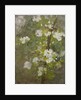 White Blossom by Henry Scott Tuke