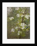 White Blossom by Henry Scott Tuke