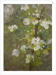 White Blossom by Henry Scott Tuke