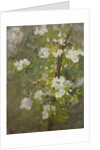 White Blossom by Henry Scott Tuke