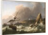 Storm at Sea, 1702 by Ludolf I Backhuysen