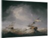 Dismasted by Charles Brooking