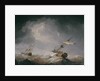 Dismasted by Charles Brooking