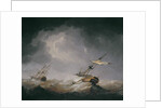 Dismasted by Charles Brooking