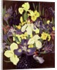 Group of Irises, c.1940 by Cedric Morris