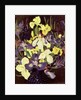 Group of Irises, c.1940 by Cedric Morris