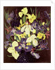 Group of Irises, c.1940 by Cedric Morris
