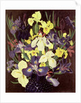 Group of Irises, c.1940 by Cedric Morris
