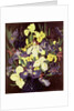 Group of Irises, c.1940 by Cedric Morris