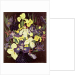 Group of Irises, c.1940 by Cedric Morris