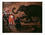 An Elephant Shown in Venice by Pietro Longhi