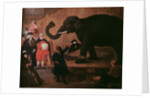 An Elephant Shown in Venice by Pietro Longhi