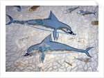 Dolphins by Greek Greek