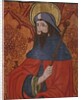 St. James the Great, detail, panel from the Church San Andres of Tortura, late 15th century-early 16th century by School Spanish