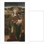 Triptych, St. Lucy, left panel by Spanish & Flemish School
