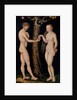 Adam and Eve in the Garden of Eden, c.1520-25 by Lucas the Elder Cranach