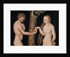 Eve offering the apple to Adam in the Garden of Eden, c.1520-25 by Lucas the Elder Cranach