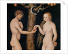 Eve offering the apple to Adam in the Garden of Eden, c.1520-25 by Lucas the Elder Cranach