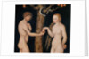 Eve offering the apple to Adam in the Garden of Eden, c.1520-25 by Lucas the Elder Cranach