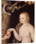 Eve offering the apple to Adam in the Garden of Eden and the serpent, c.1520-25 by Lucas the Elder Cranach