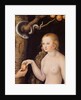 Eve offering the apple to Adam in the Garden of Eden and the serpent, c.1520-25 by Lucas the Elder Cranach