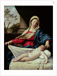 Madonna and Child by Il Sassoferrato