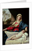 Madonna and Child by Il Sassoferrato