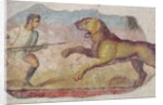 A Gladiator Fighting a Lion by Roman