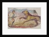 A Gladiator Fighting a Lion by Roman