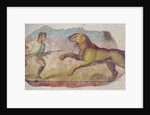 A Gladiator Fighting a Lion by Roman