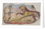 A Gladiator Fighting a Lion by Roman