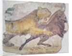 A Tiger attacking a Wild Boar by Roman