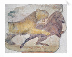 A Tiger attacking a Wild Boar by Roman