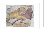 A Tiger attacking a Wild Boar by Roman