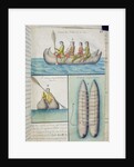 Indians of the South Seas using boats called 'Balds' by French School