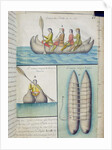 Indians of the South Seas using boats called 'Balds' by French School