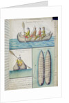 Indians of the South Seas using boats called 'Balds' by French School