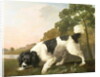 A Spaniel in a Landscape, 1771 by George Stubbs
