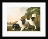 A Spaniel in a Landscape, 1771 by George Stubbs