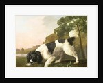 A Spaniel in a Landscape, 1771 by George Stubbs