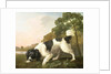 A Spaniel in a Landscape, 1771 by George Stubbs