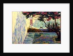 Cat in a Mexican Garden by Robert Tyndall