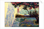 Cat in a Mexican Garden by Robert Tyndall